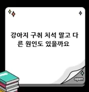 썸네일 이미지